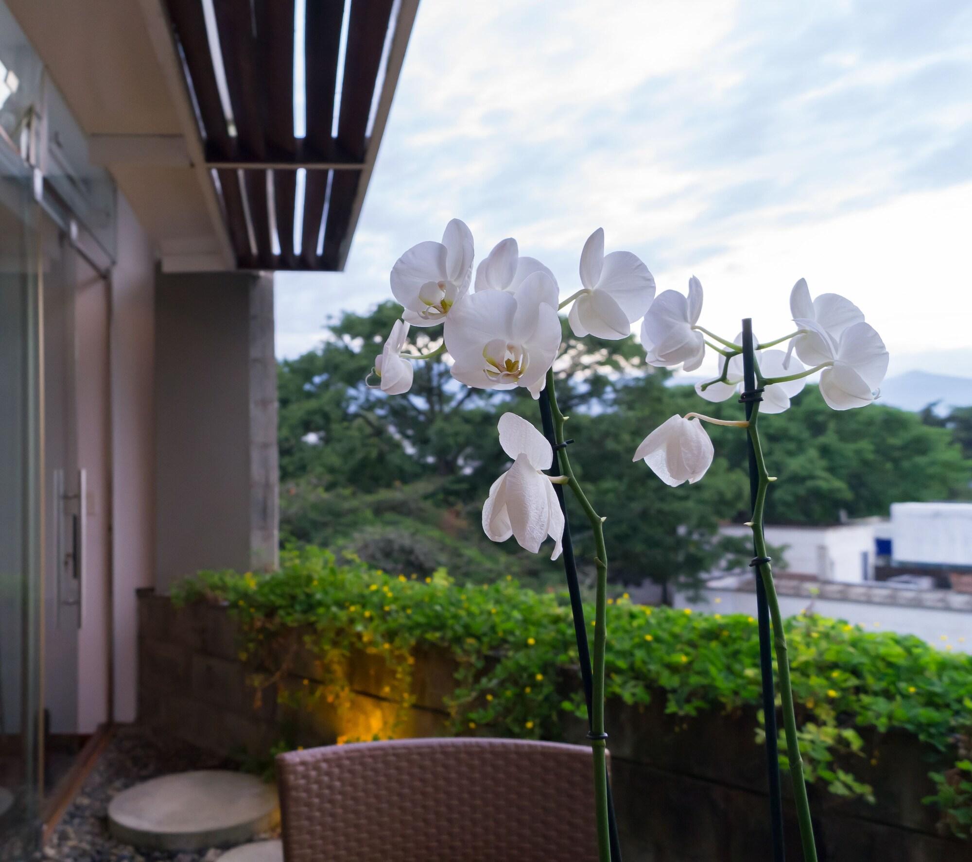 Acquasanta Lofts Hotel 칼리 외부 사진